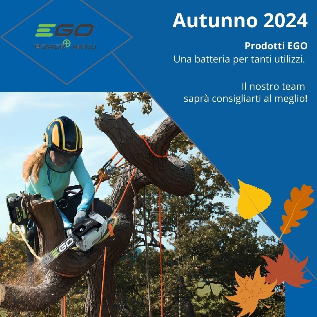 Autunno 2024